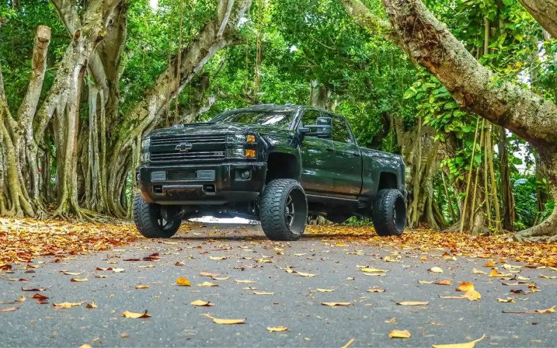 Dark pickup truck on a road covered in fallen leaves beneath large trees